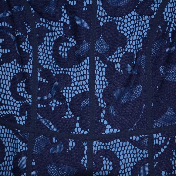 Cynthia Steffe Elenora Sleeveless Seamed Lace Sheath Dress - Picture 6 of 11